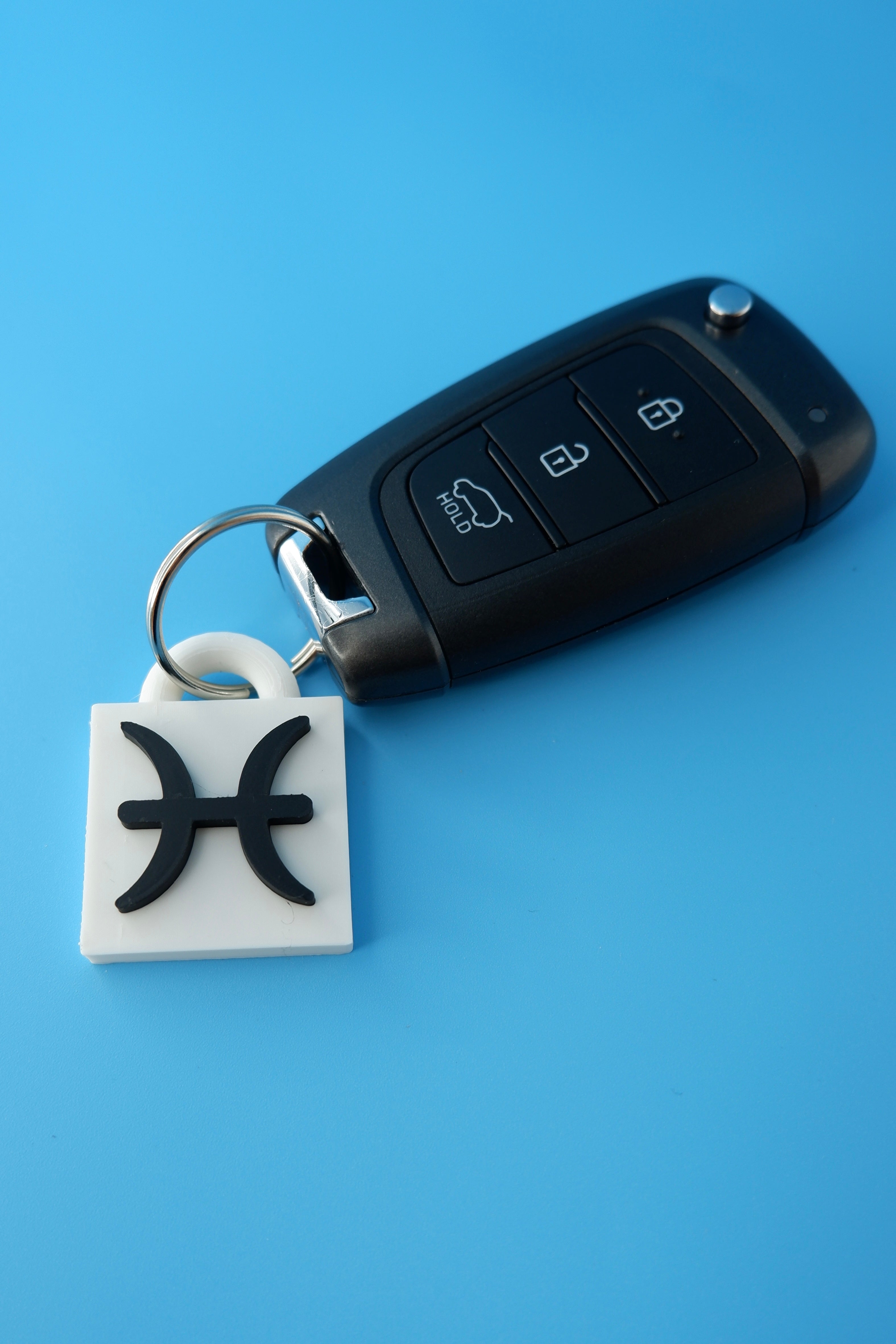 Pisces Keychain