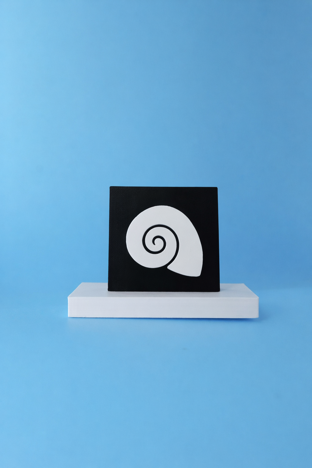 Spiral Seashell