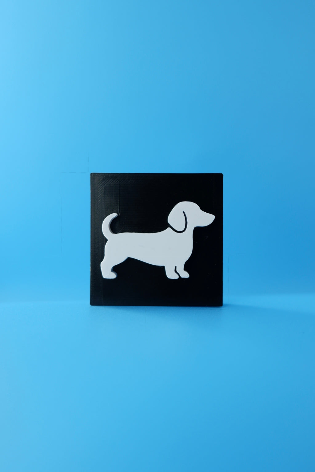 Dachshund