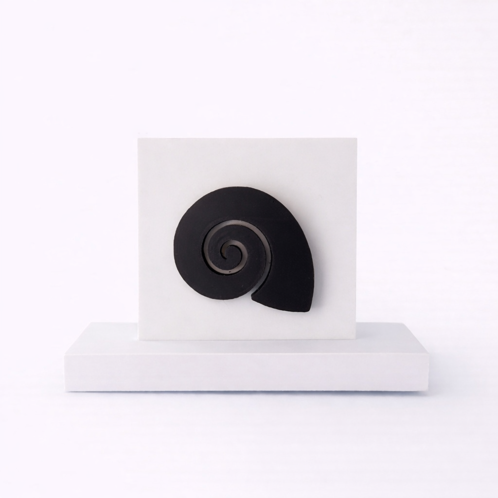 Spiral Seashell