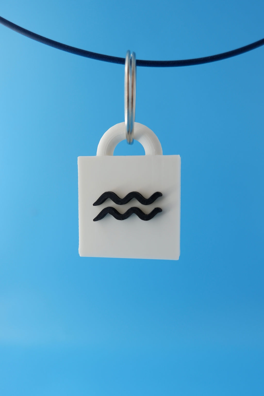 Aquarius Keychain