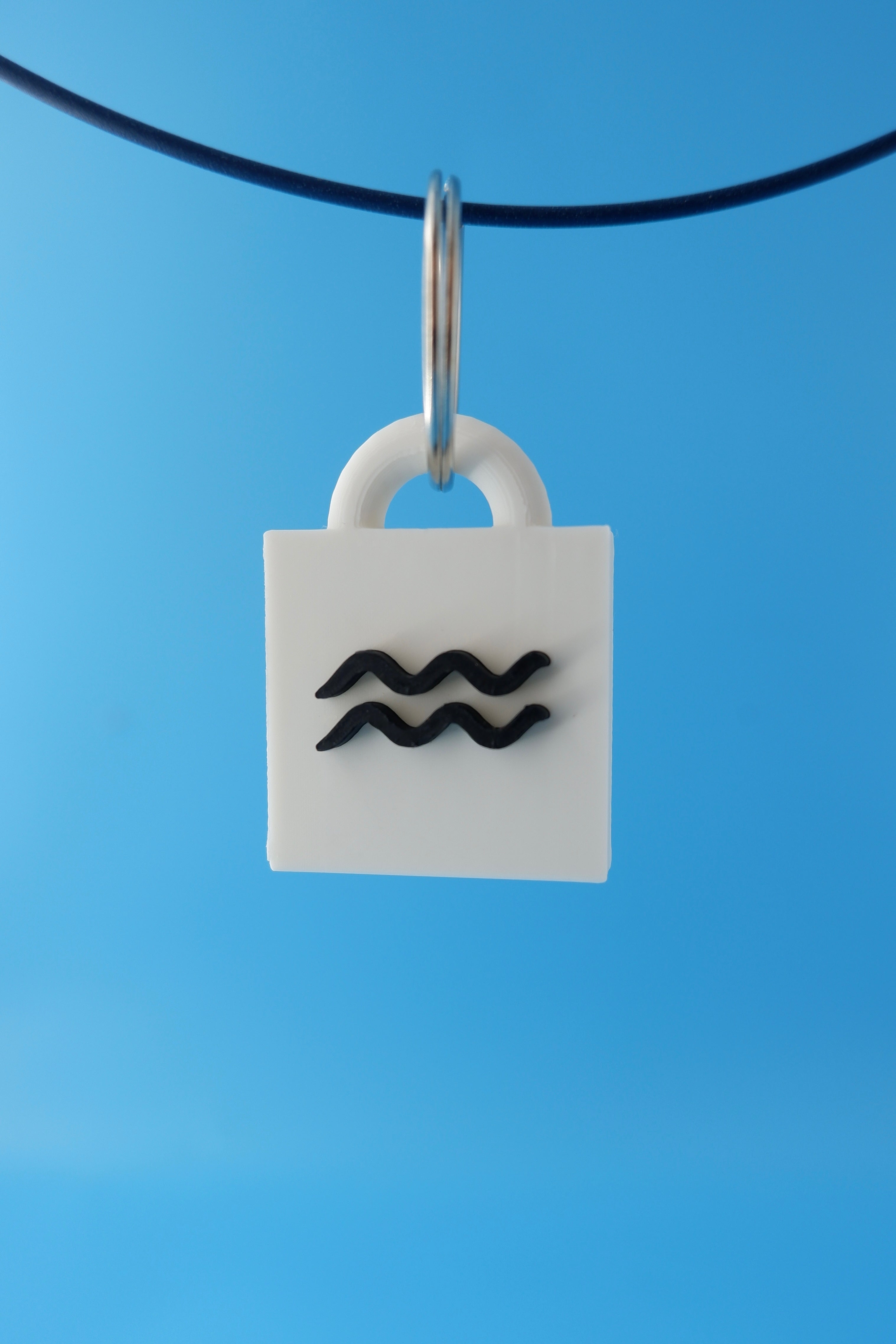 Aquarius Keychain