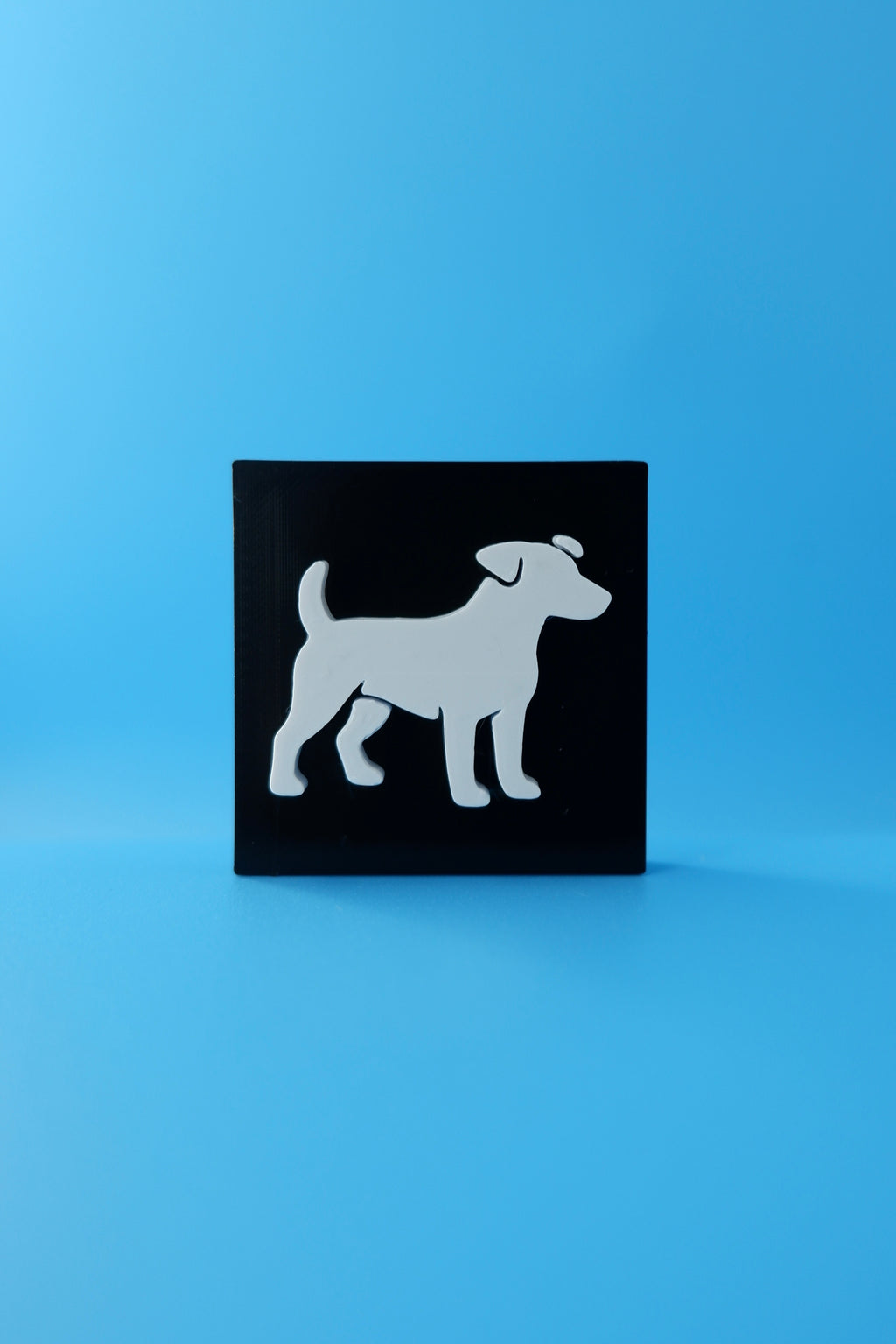 Jack Russell