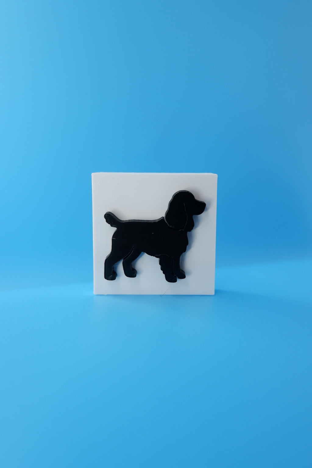 Cocker Spaniel
