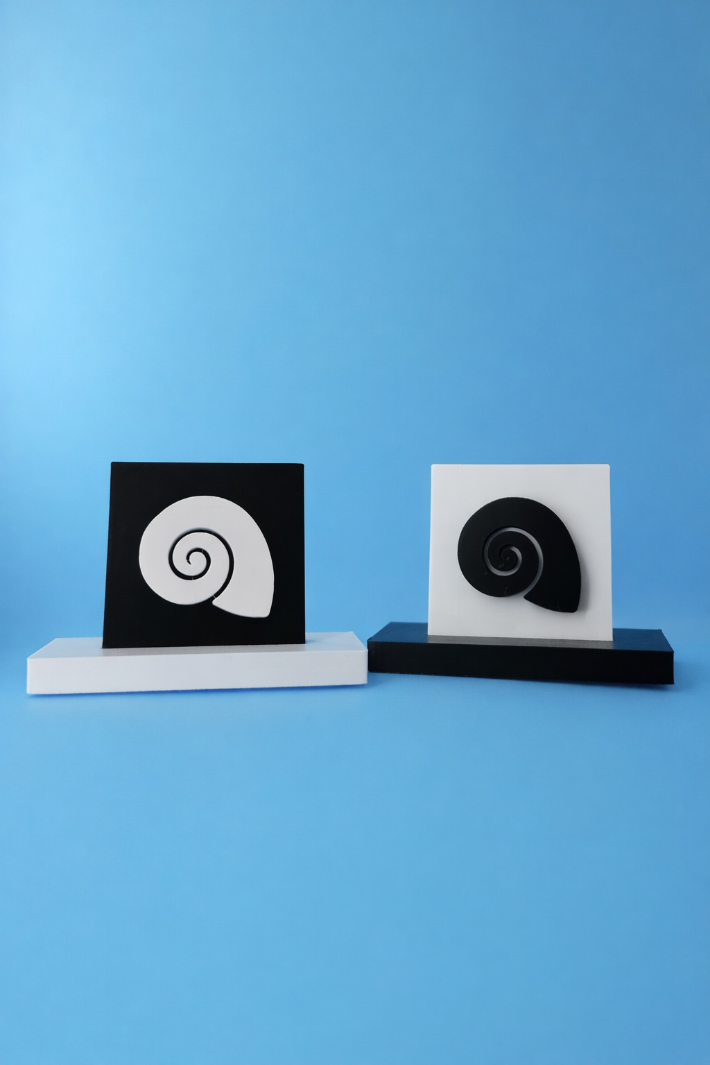 Spiral Seashell