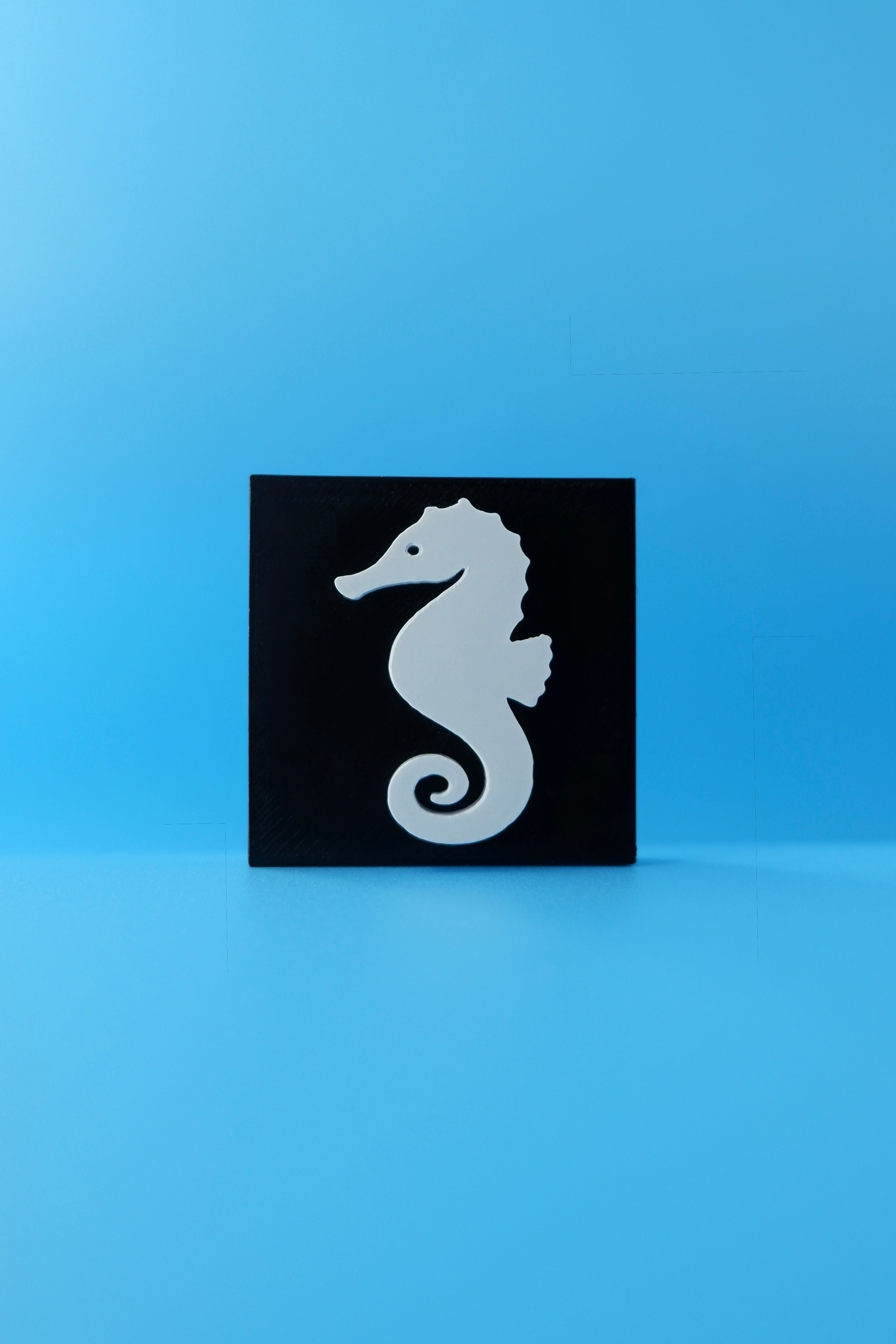Seahorse