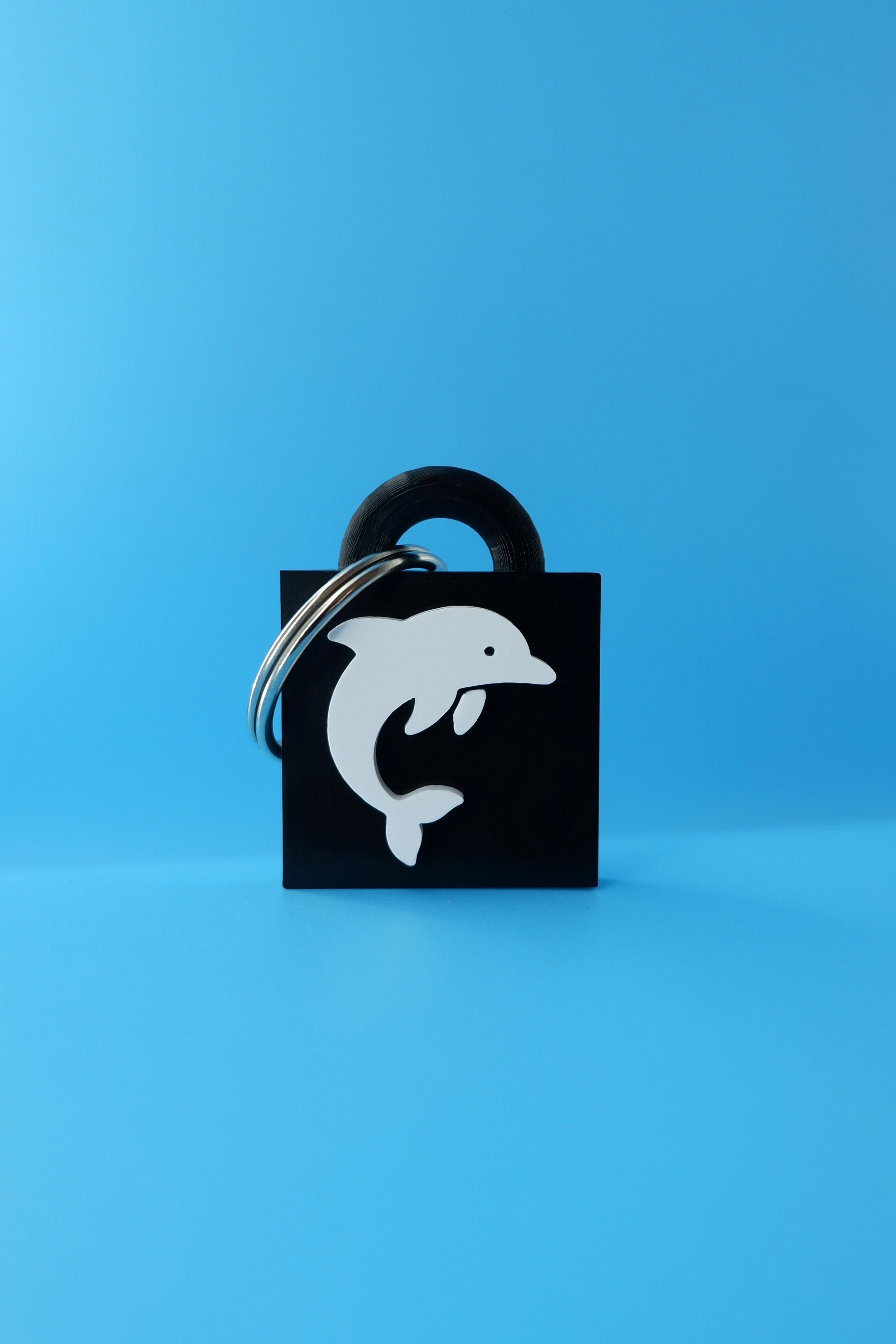 Dolphin Keychain