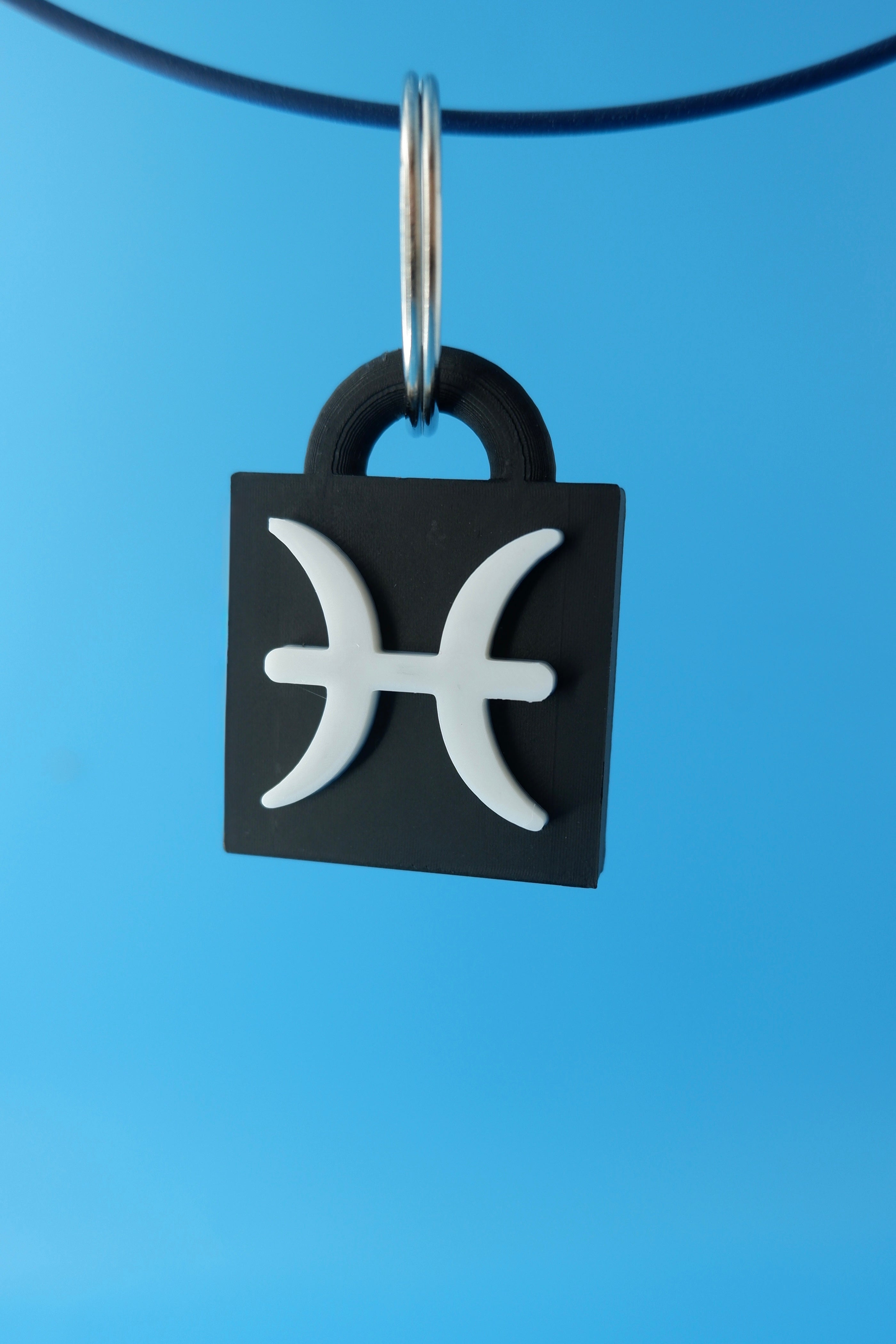 Pisces Keychain