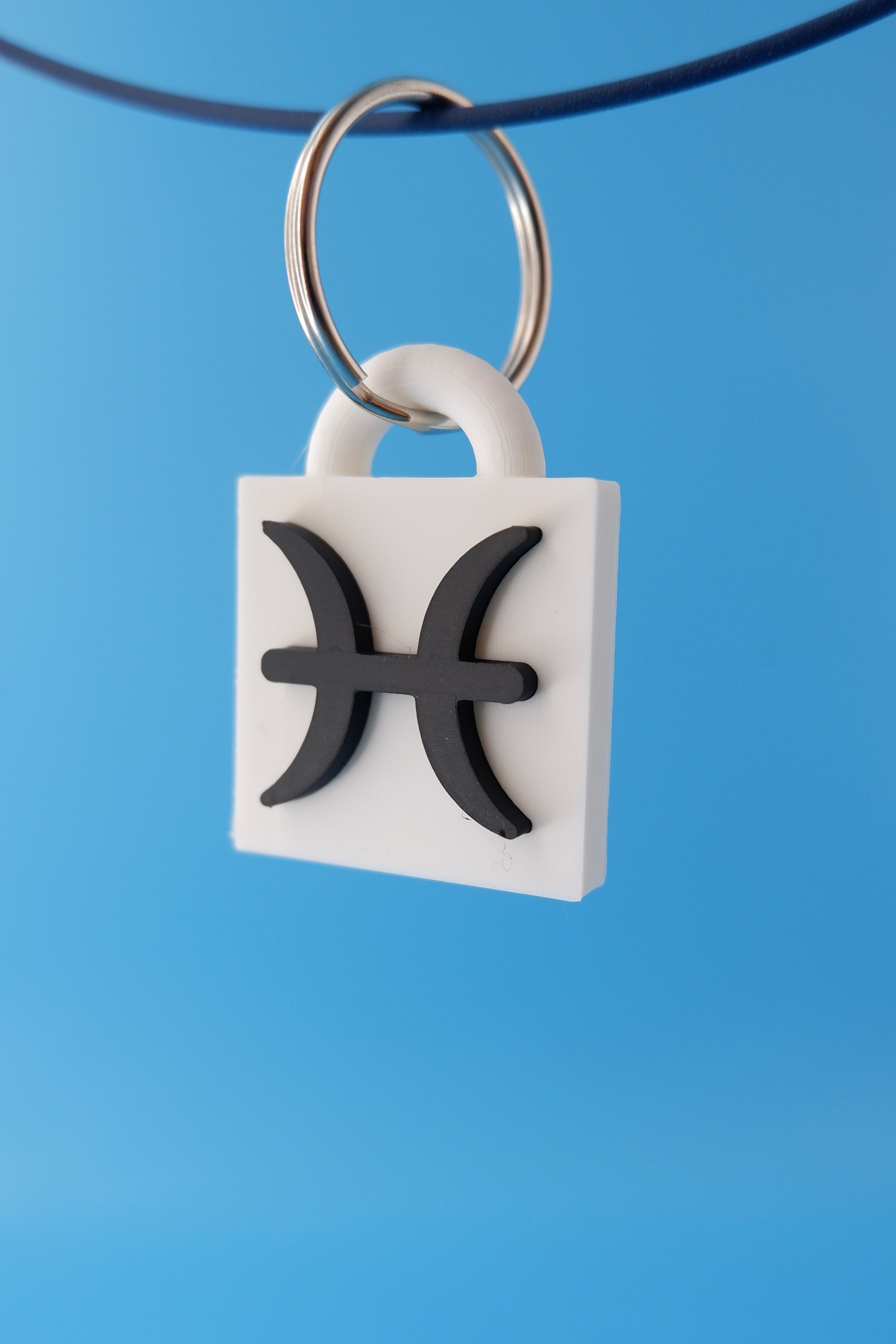 Pisces Keychain