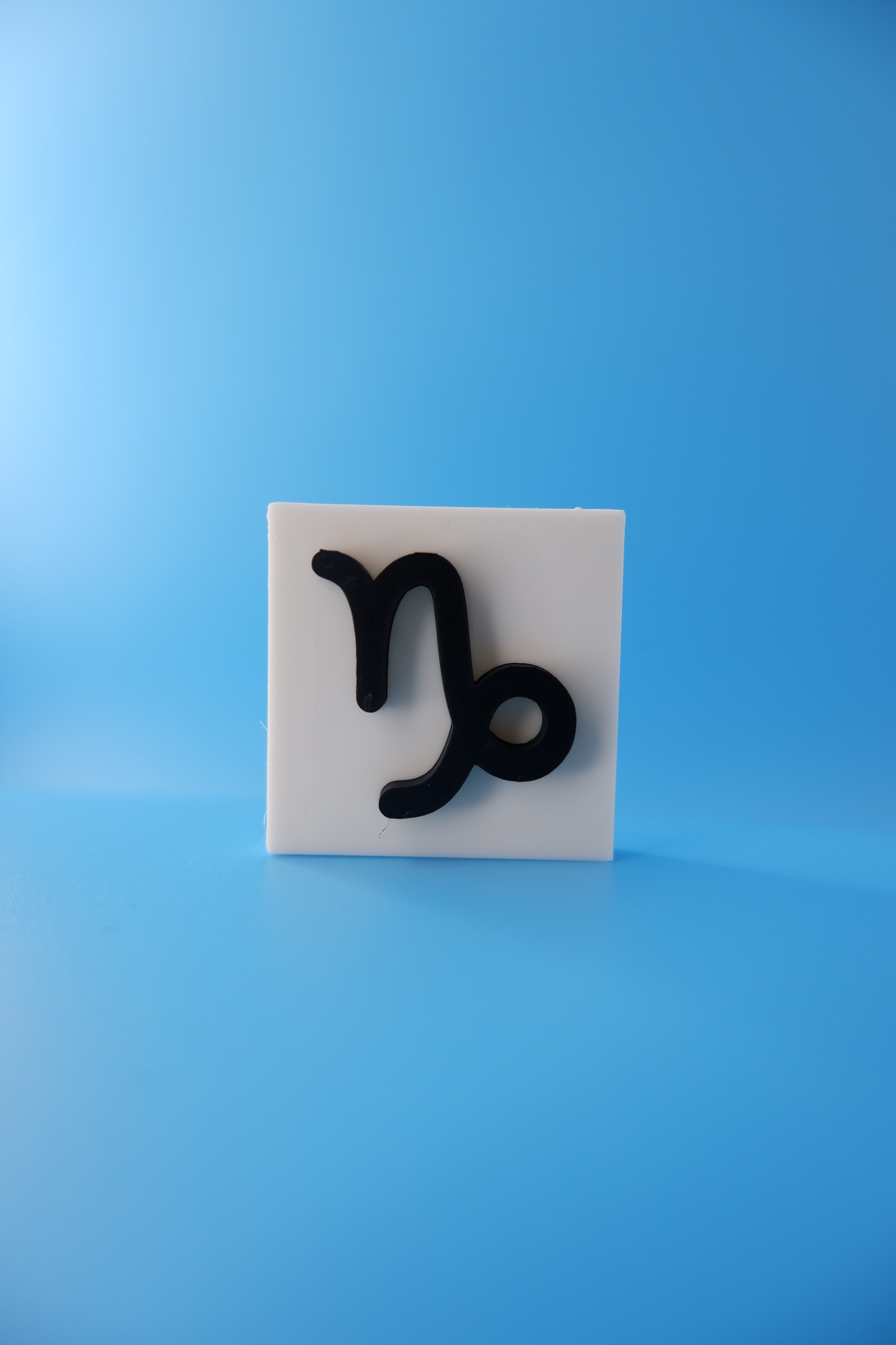 Capricorn
