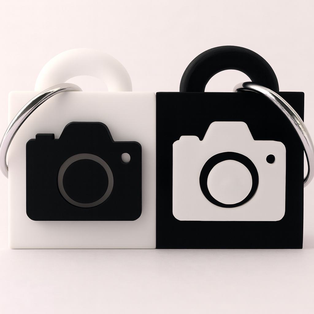 Take My Picture Keychain