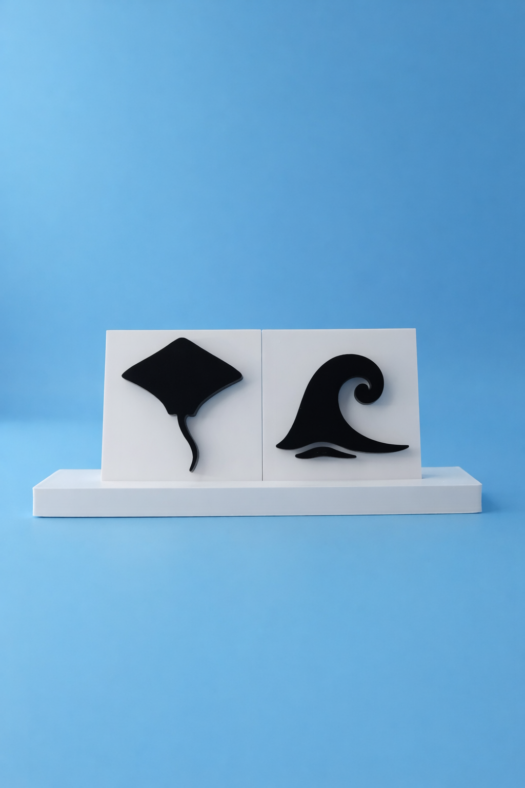 Ray & Wave