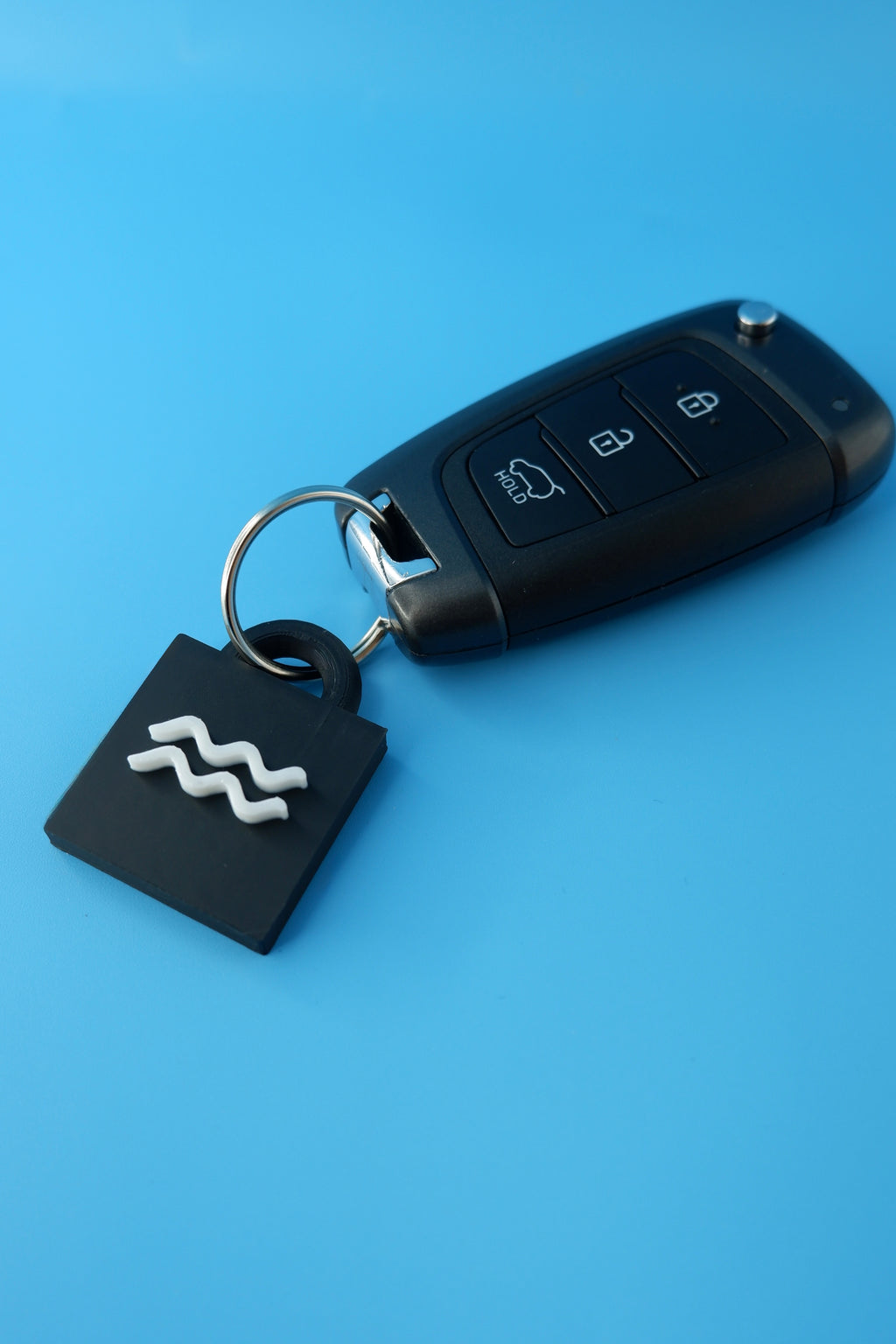 Aquarius Keychain