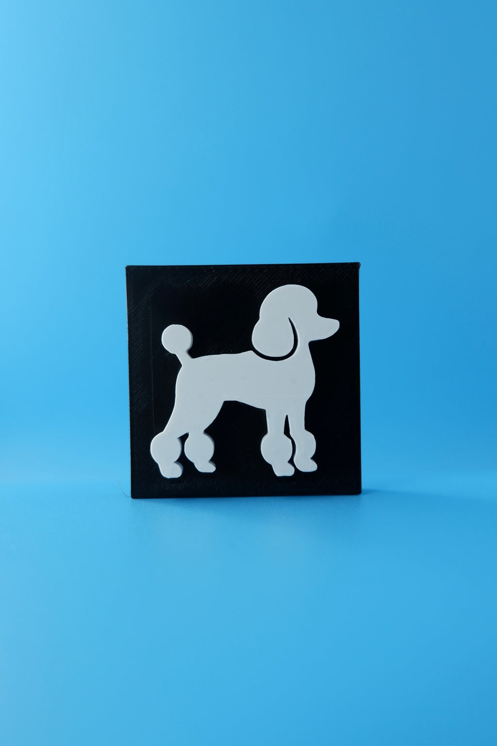 Poodle