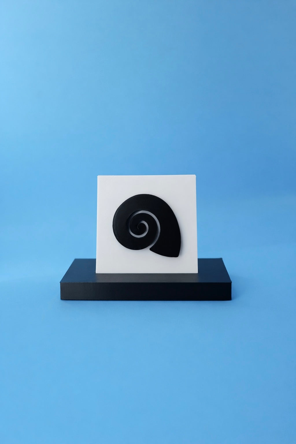 Spiral Seashell