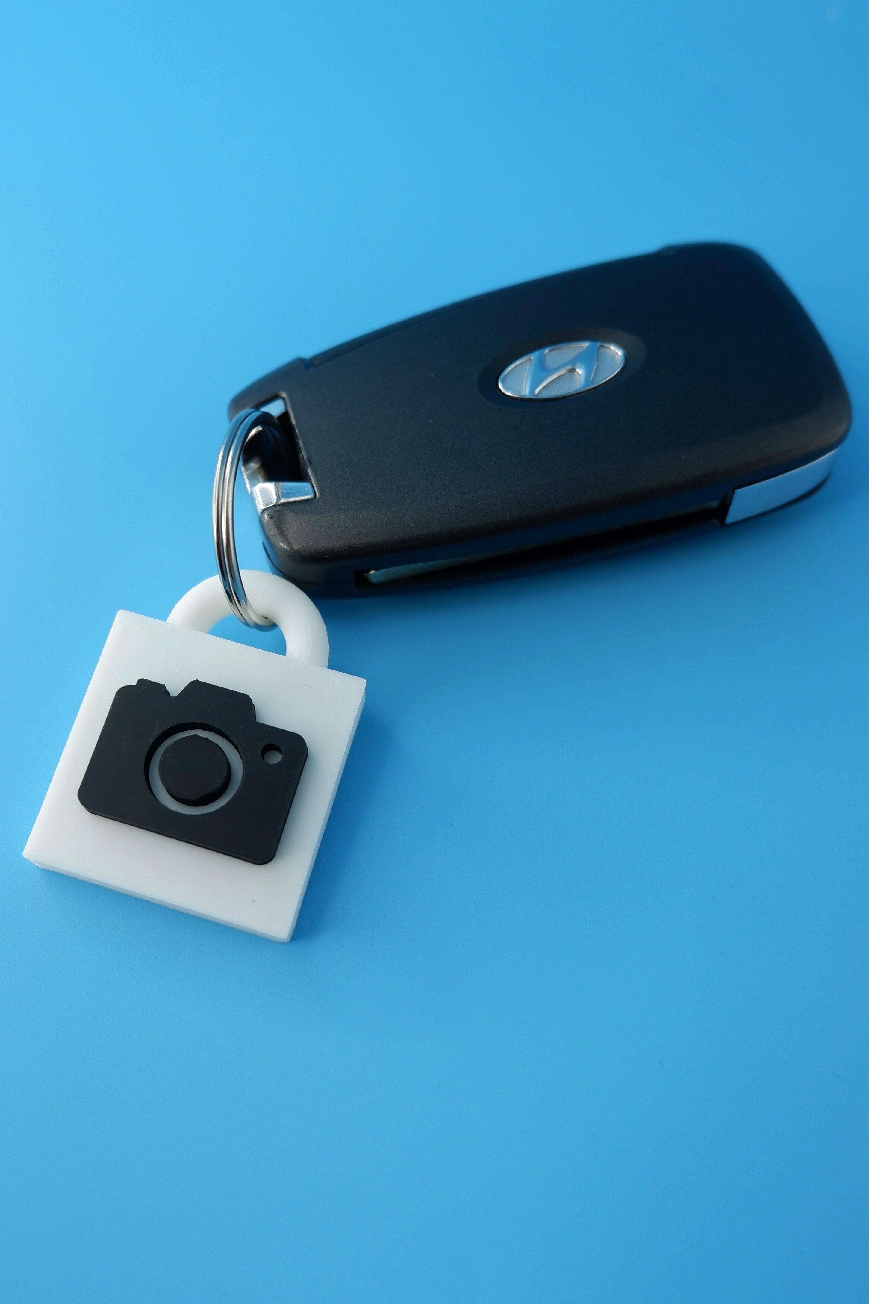 Take My Picture Keychain