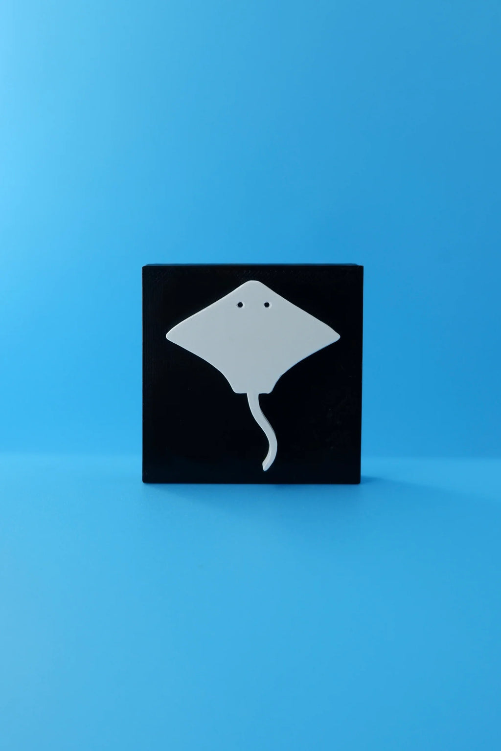 Ray & Wave