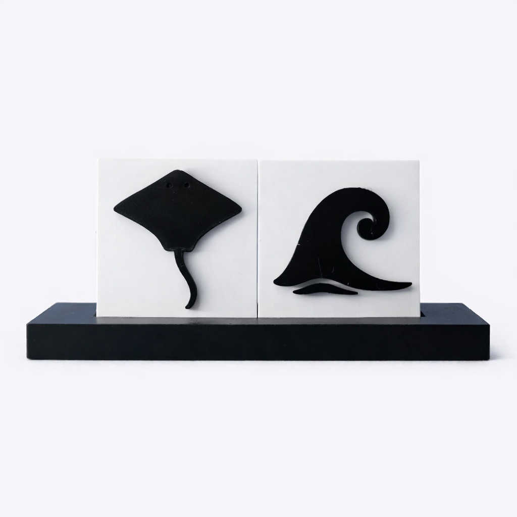 Ray & Wave