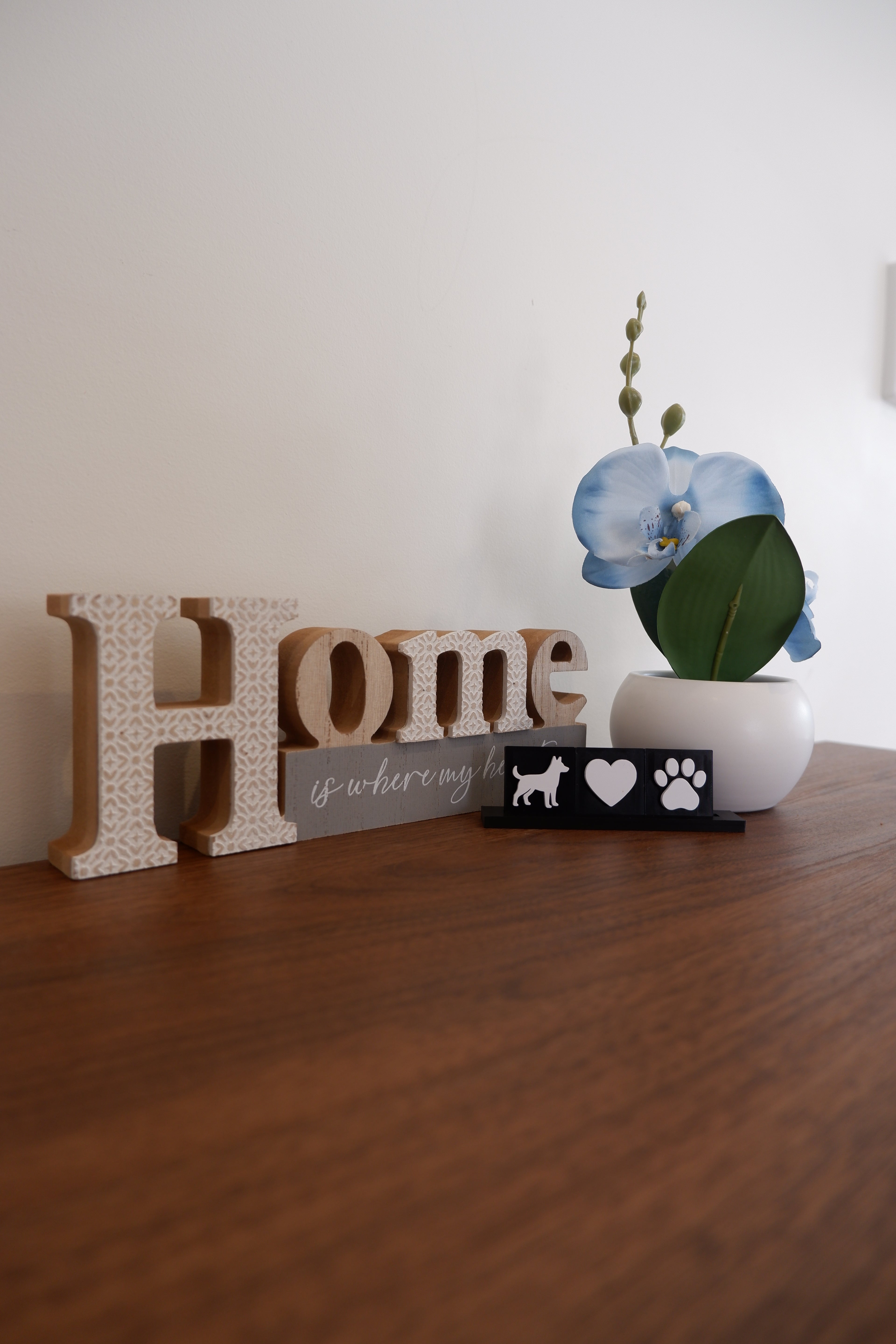 A Dog’s Love Set
