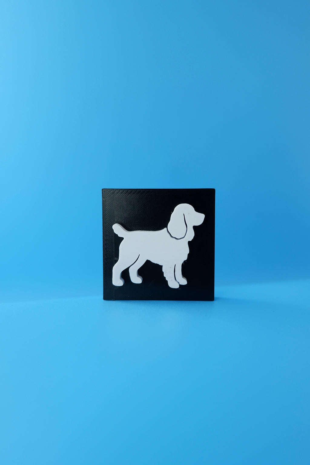 Cocker Spaniel