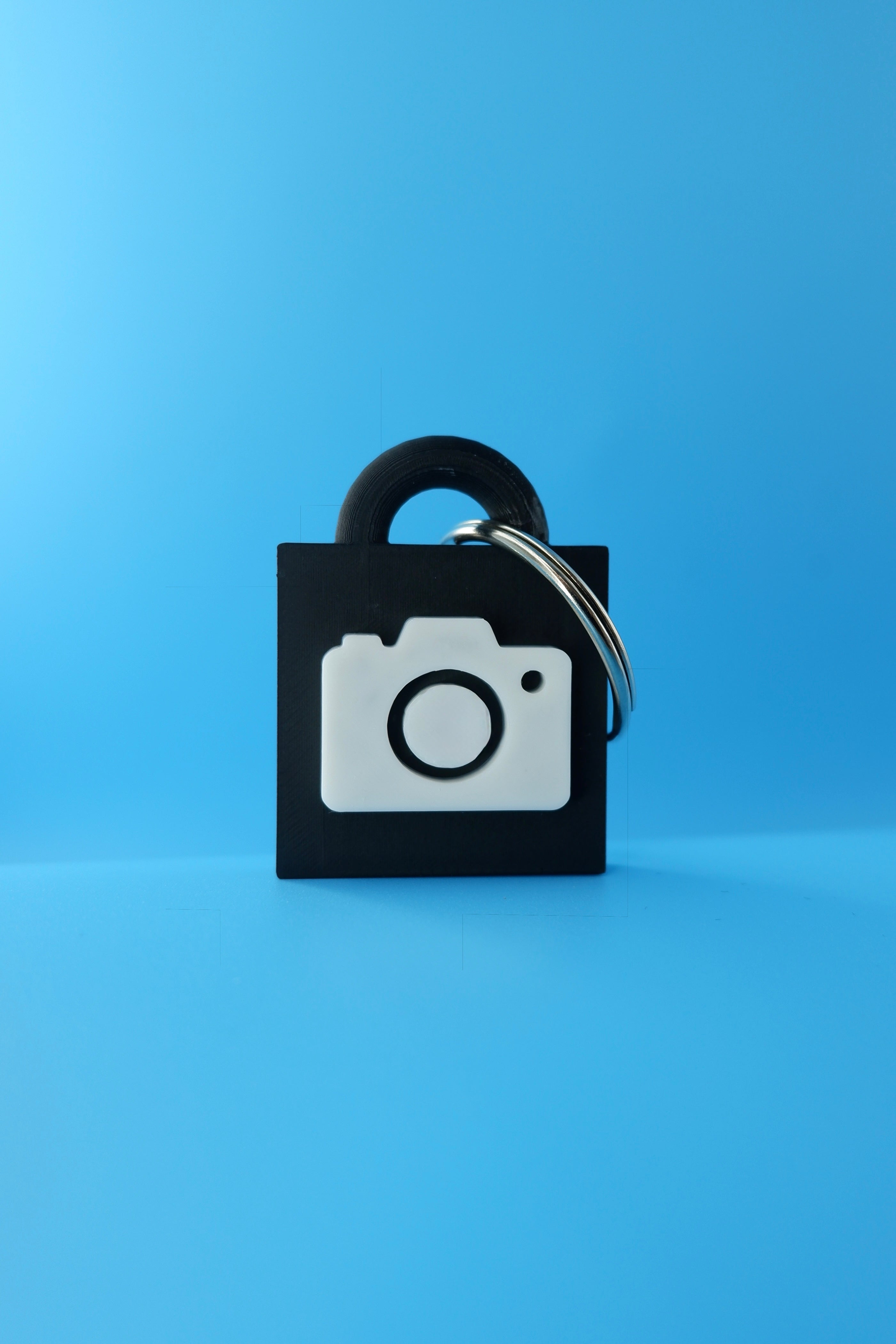 Take My Picture Keychain