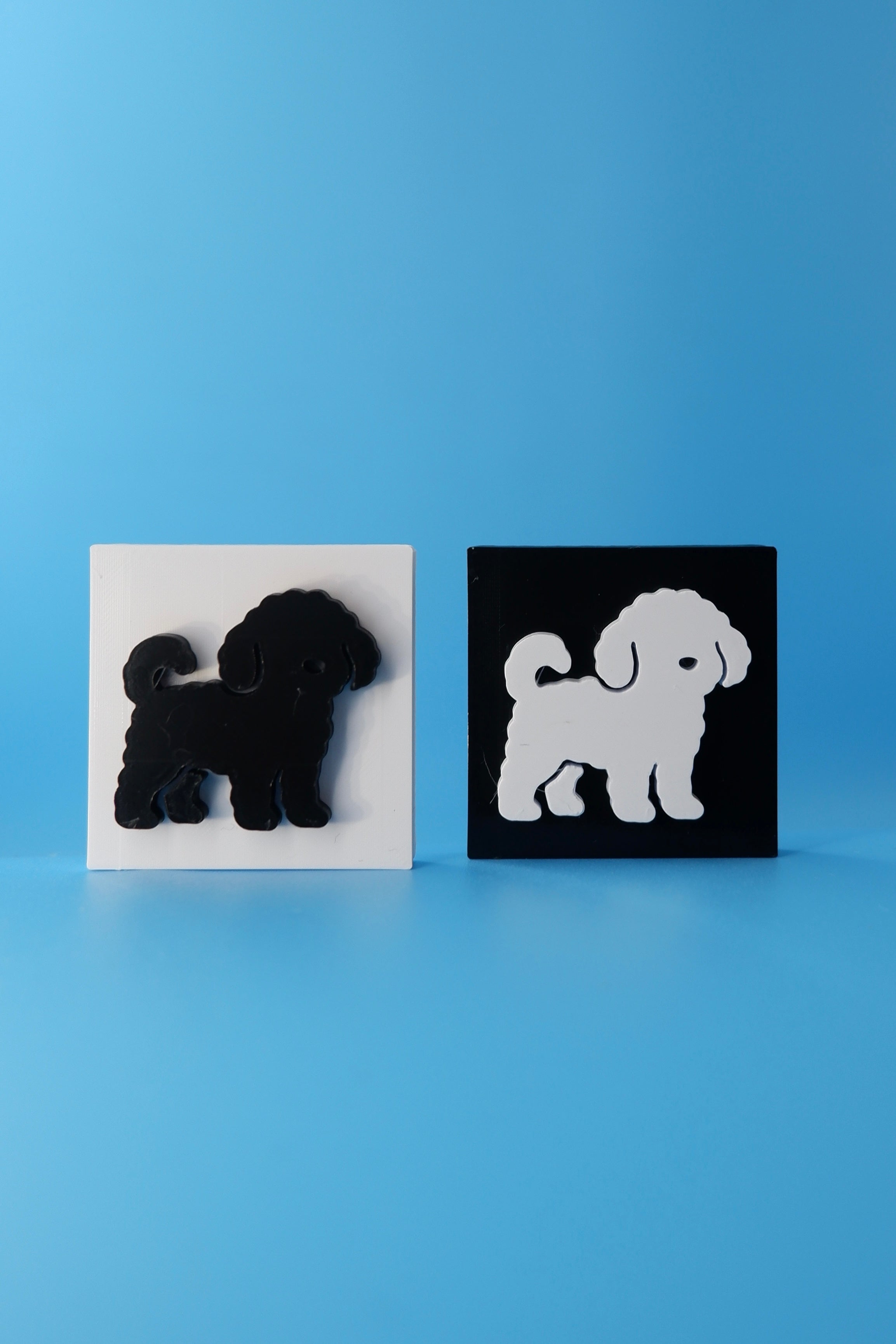 Cavoodle