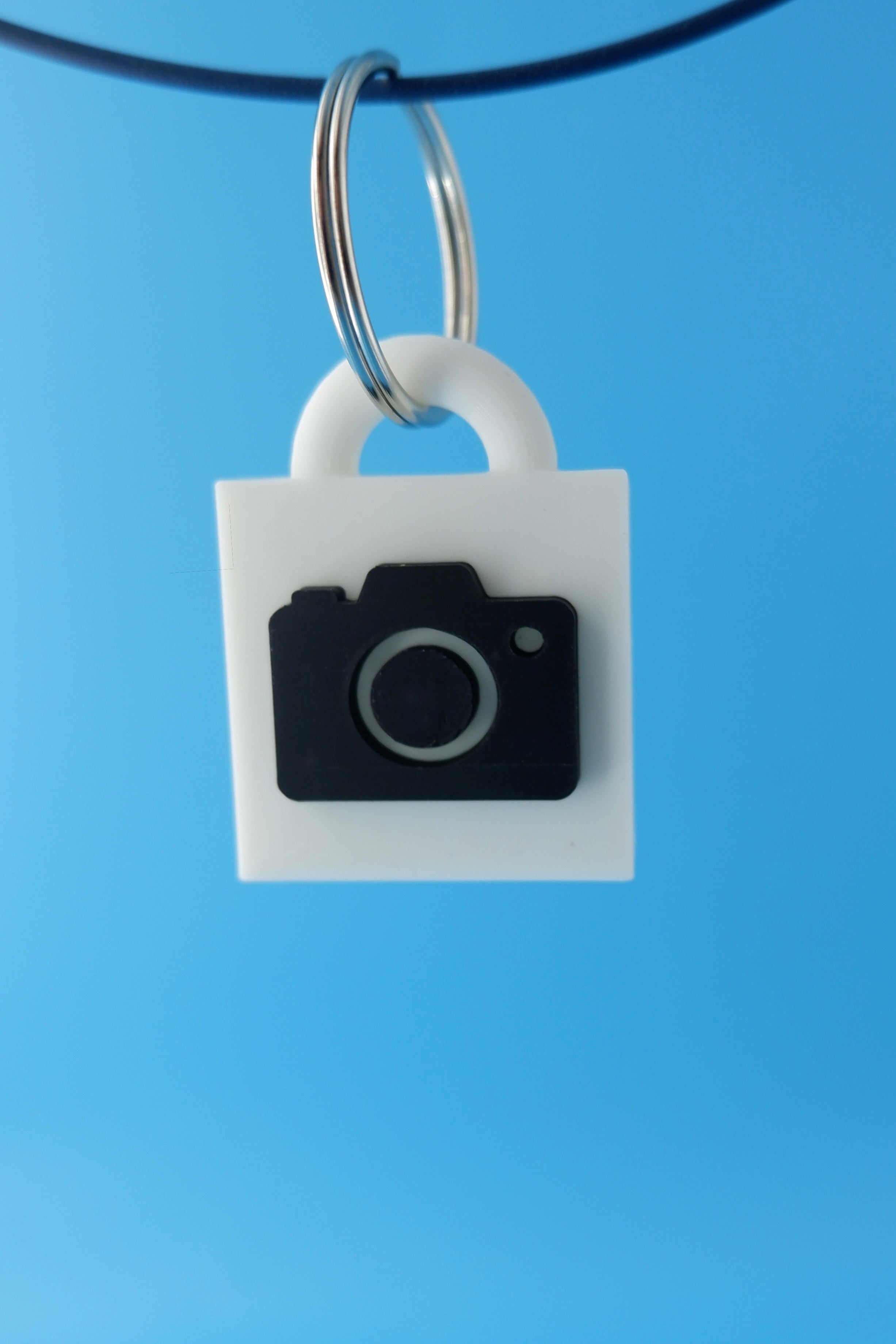 Take My Picture Keychain