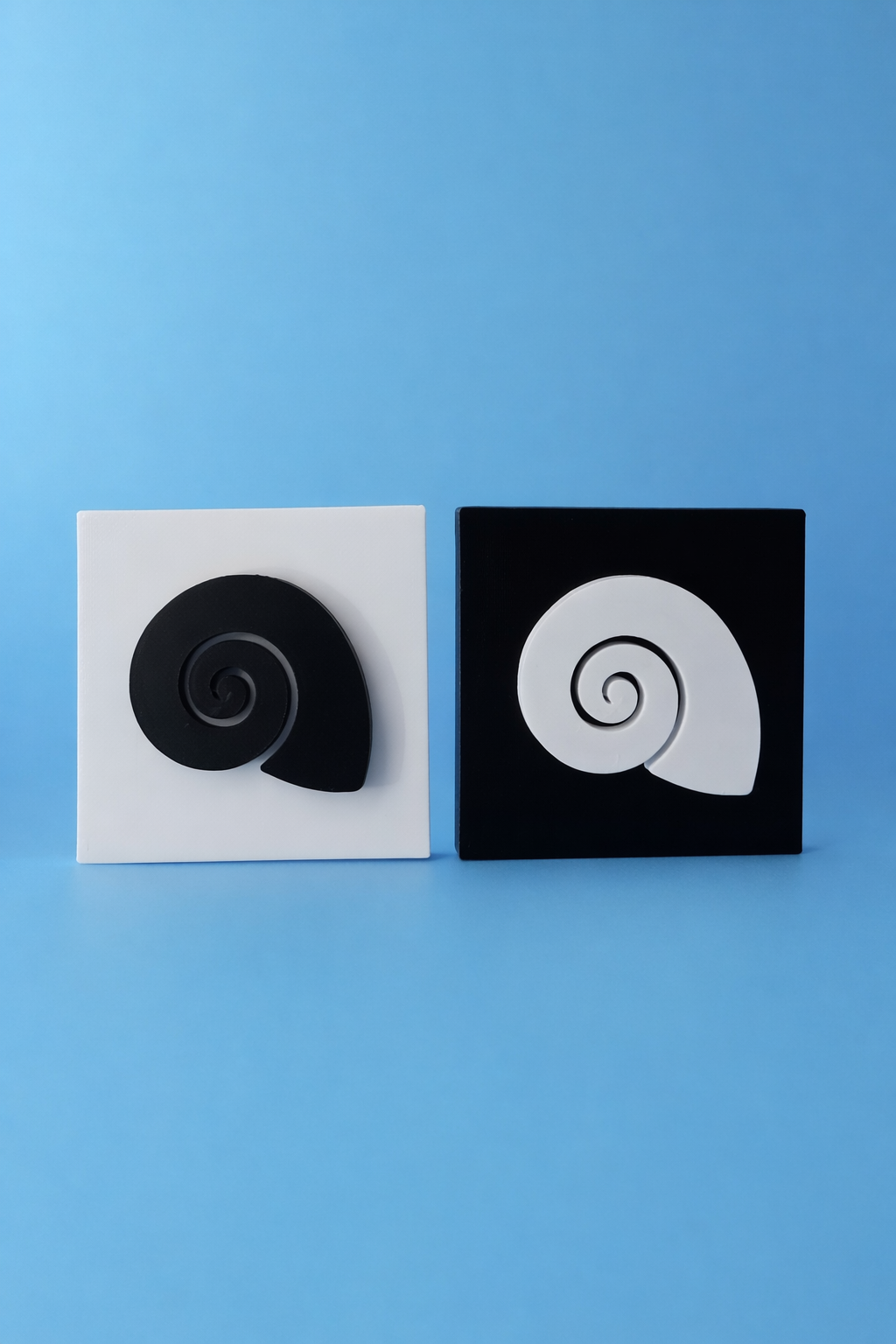 Spiral Seashell