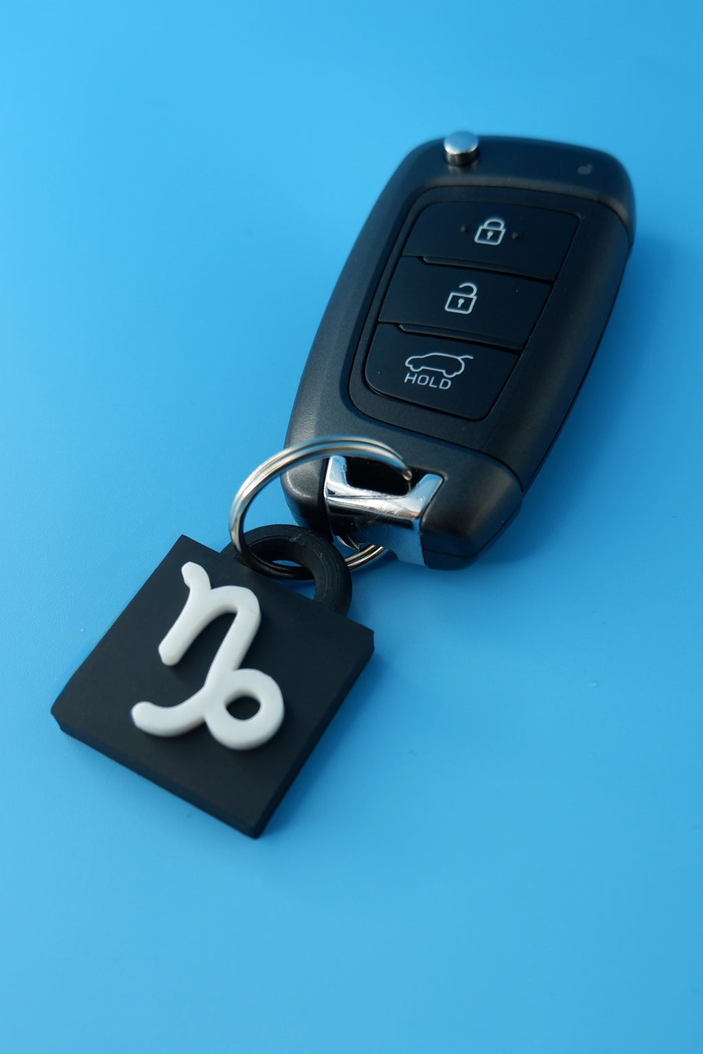 Capricorn Keychain