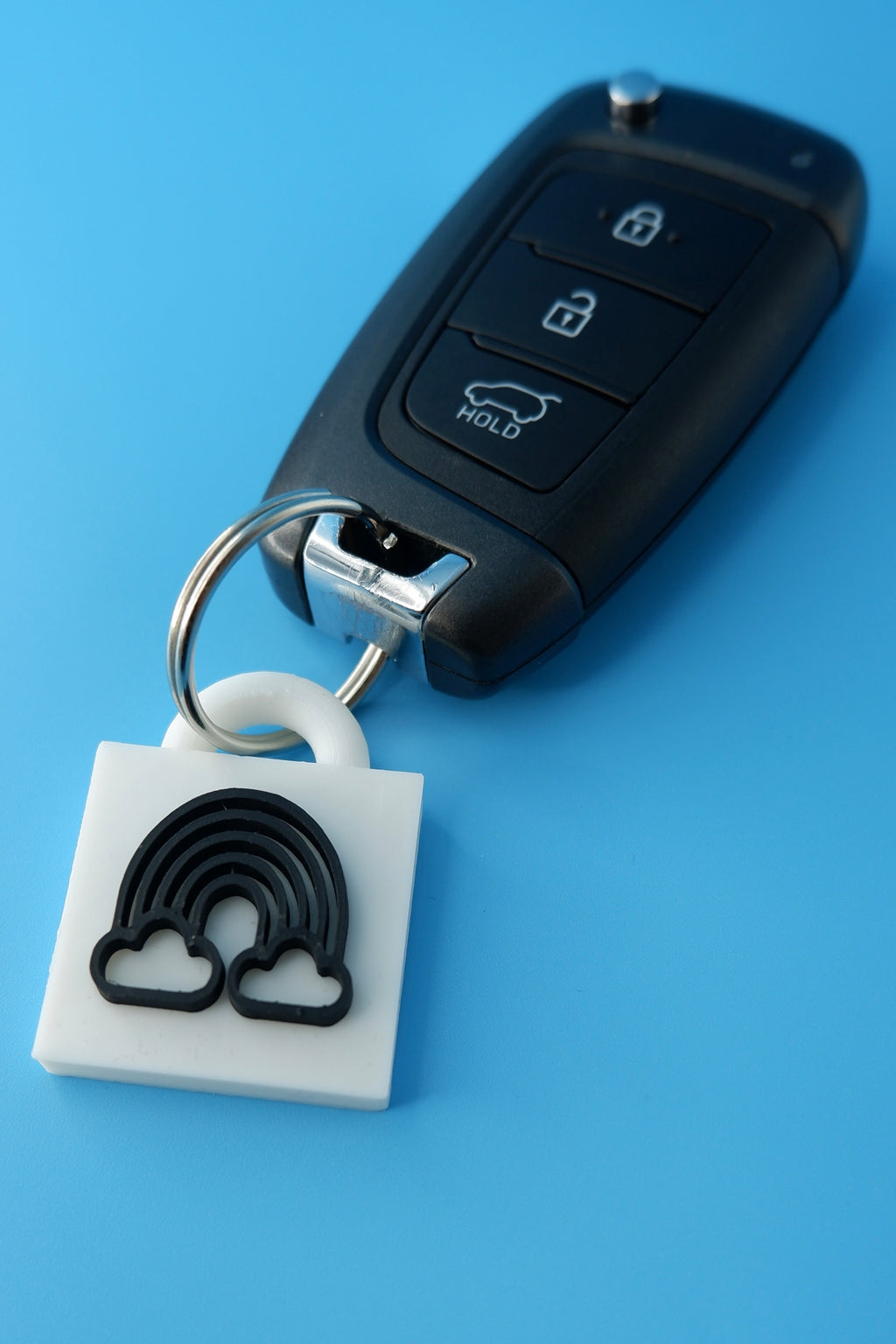 Chasing Colour Keychain