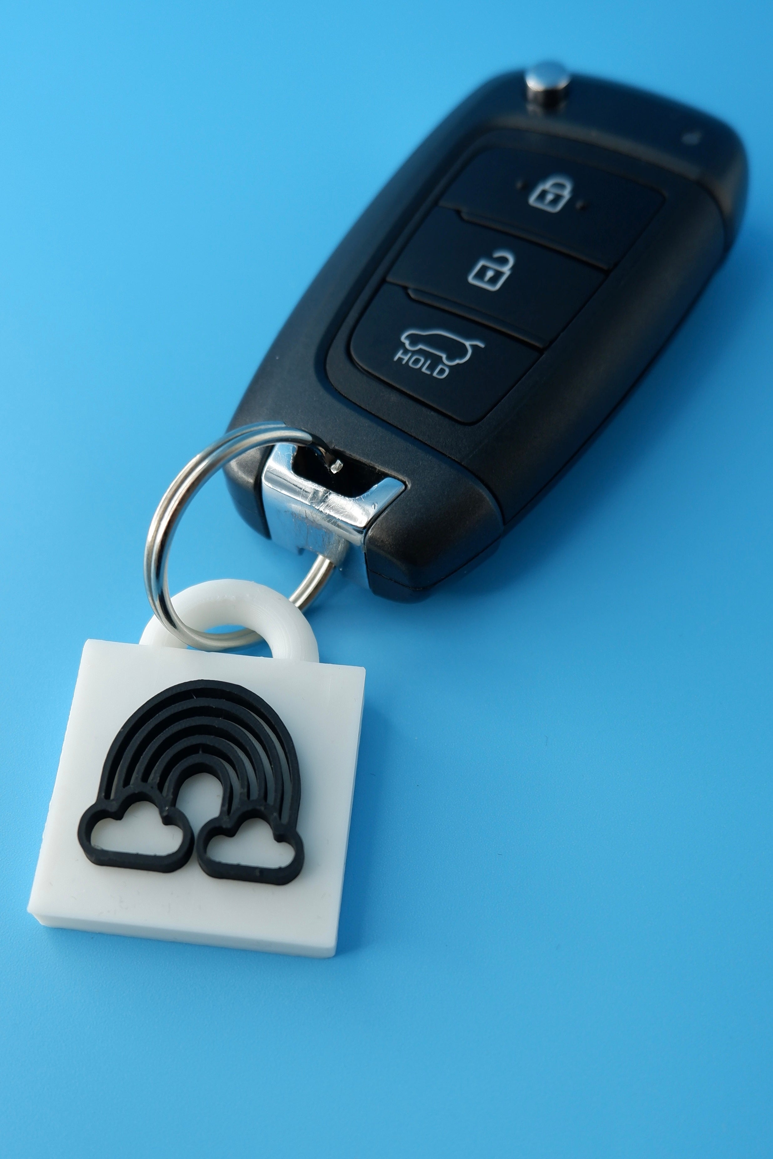 Chasing Colour Keychain