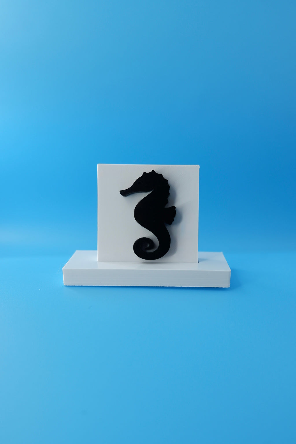 Seahorse