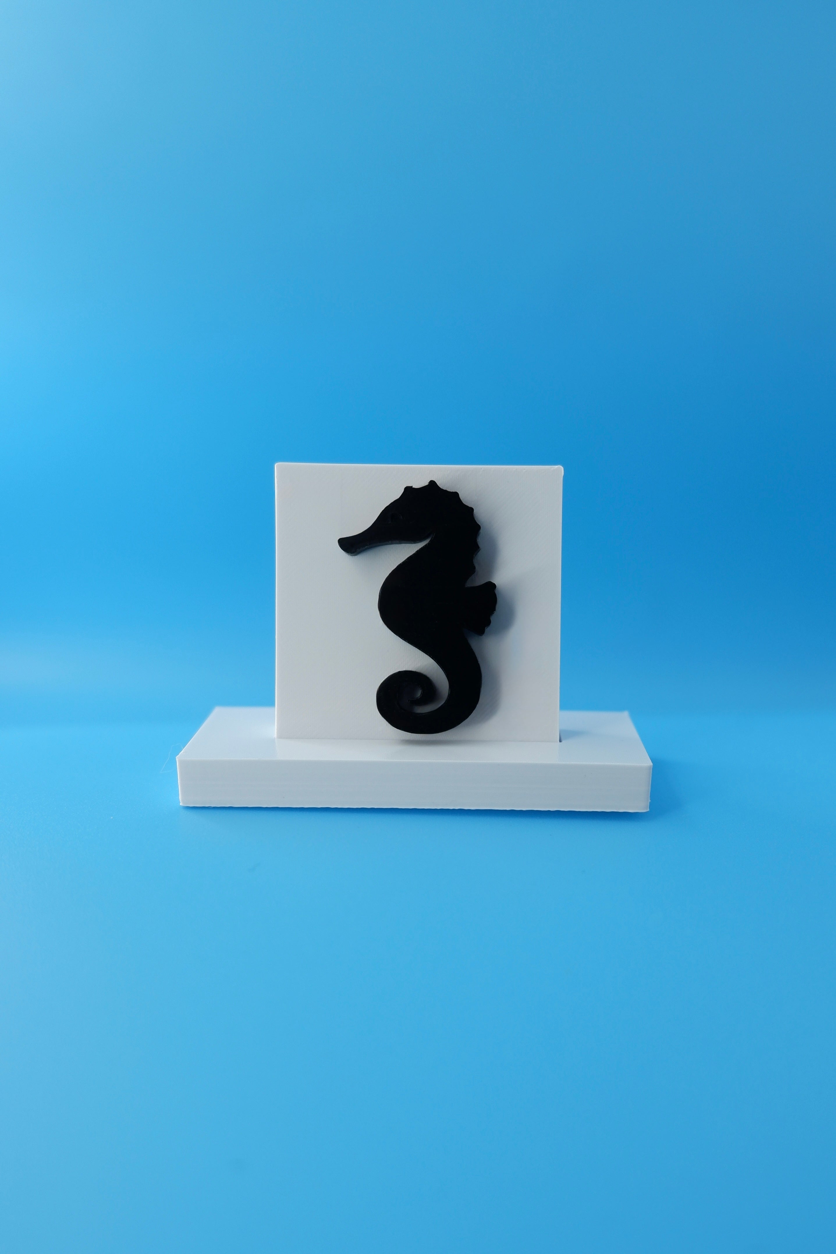 Seahorse