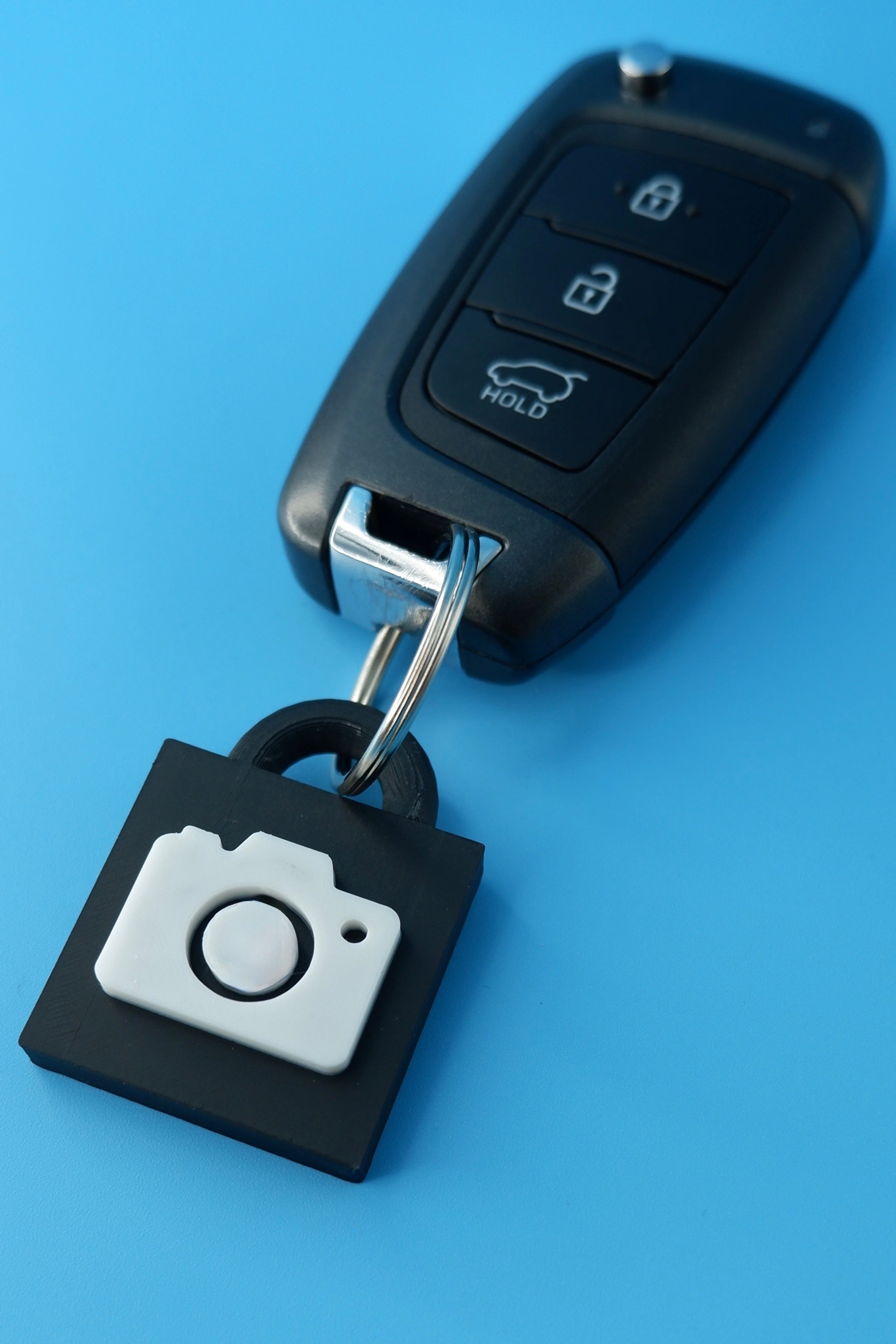 Take My Picture Keychain