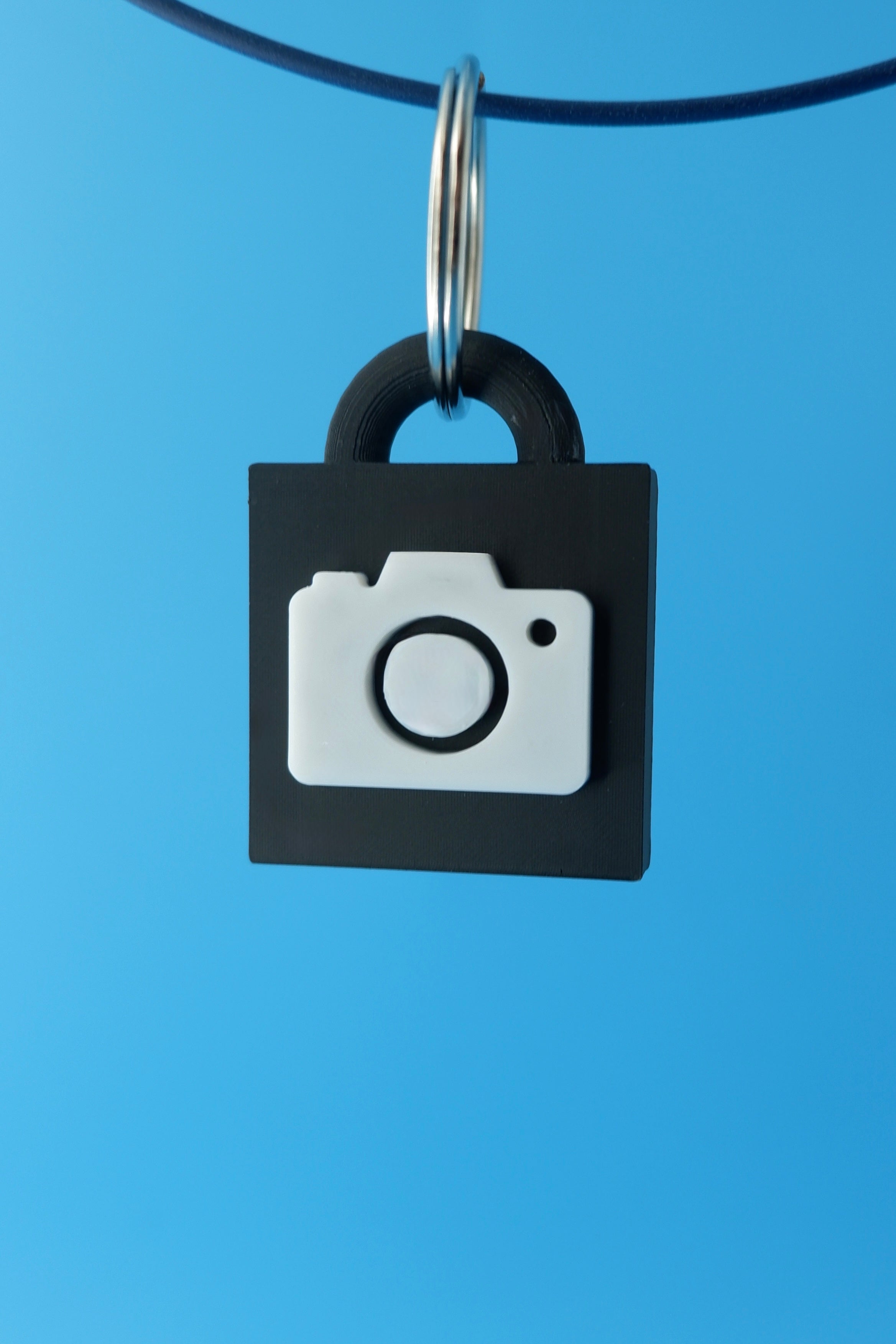 Take My Picture Keychain