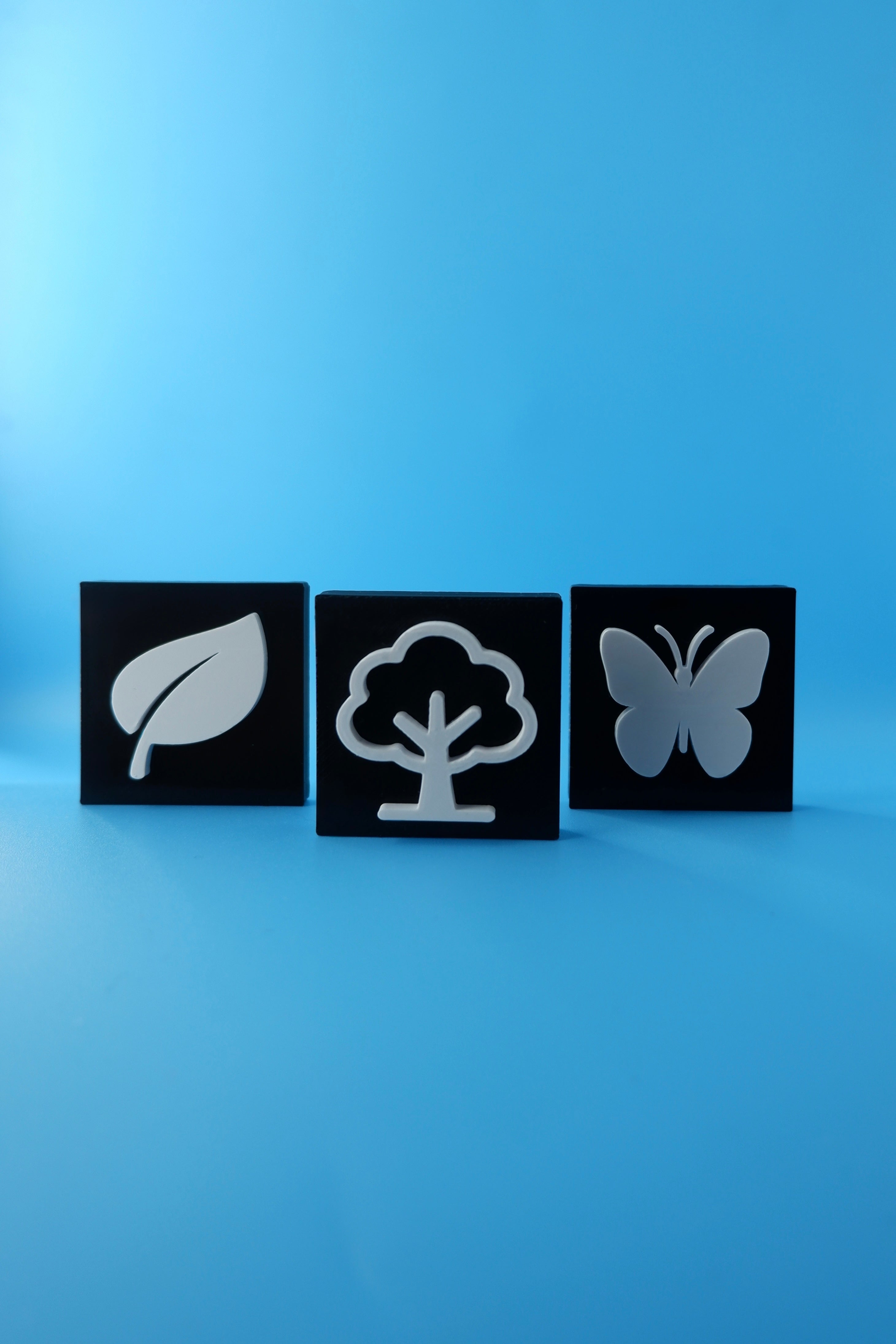 Earthbound Set