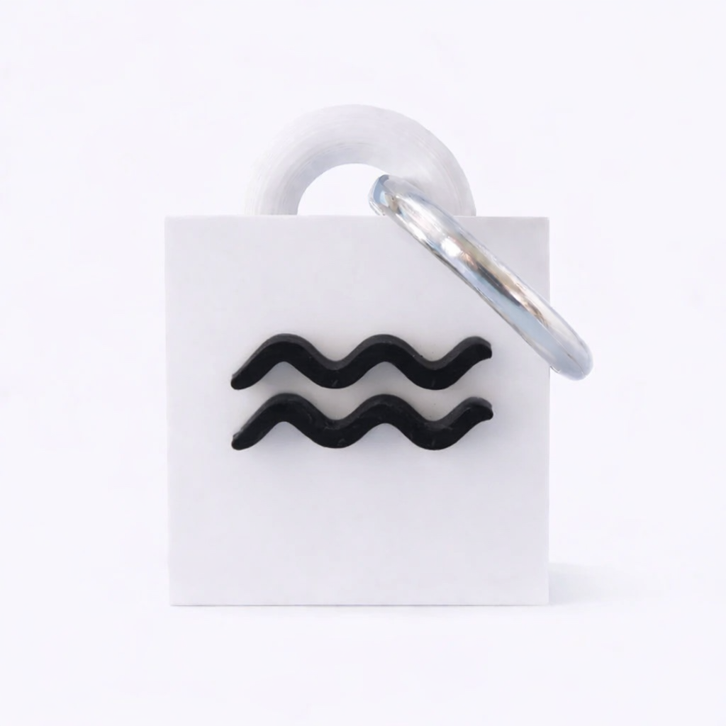 Aquarius Keychain