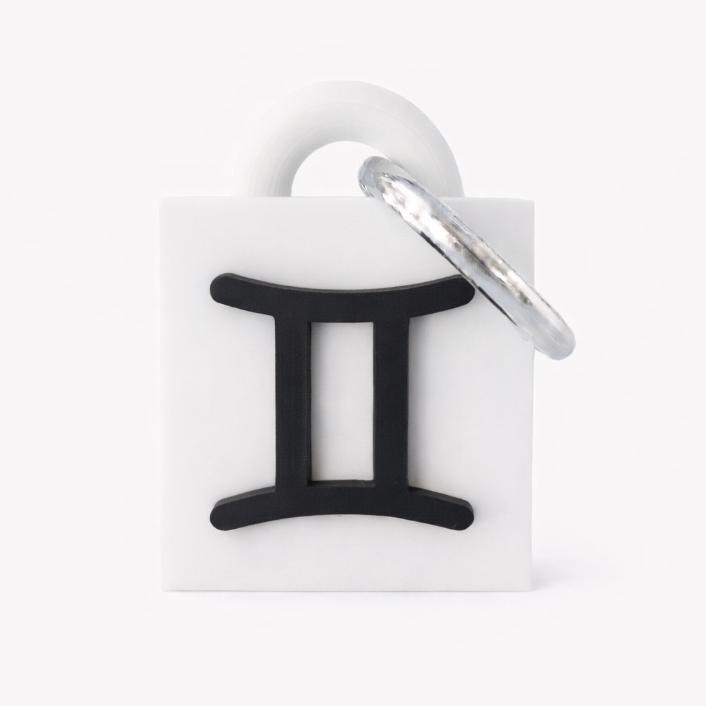 Gemini Keychain