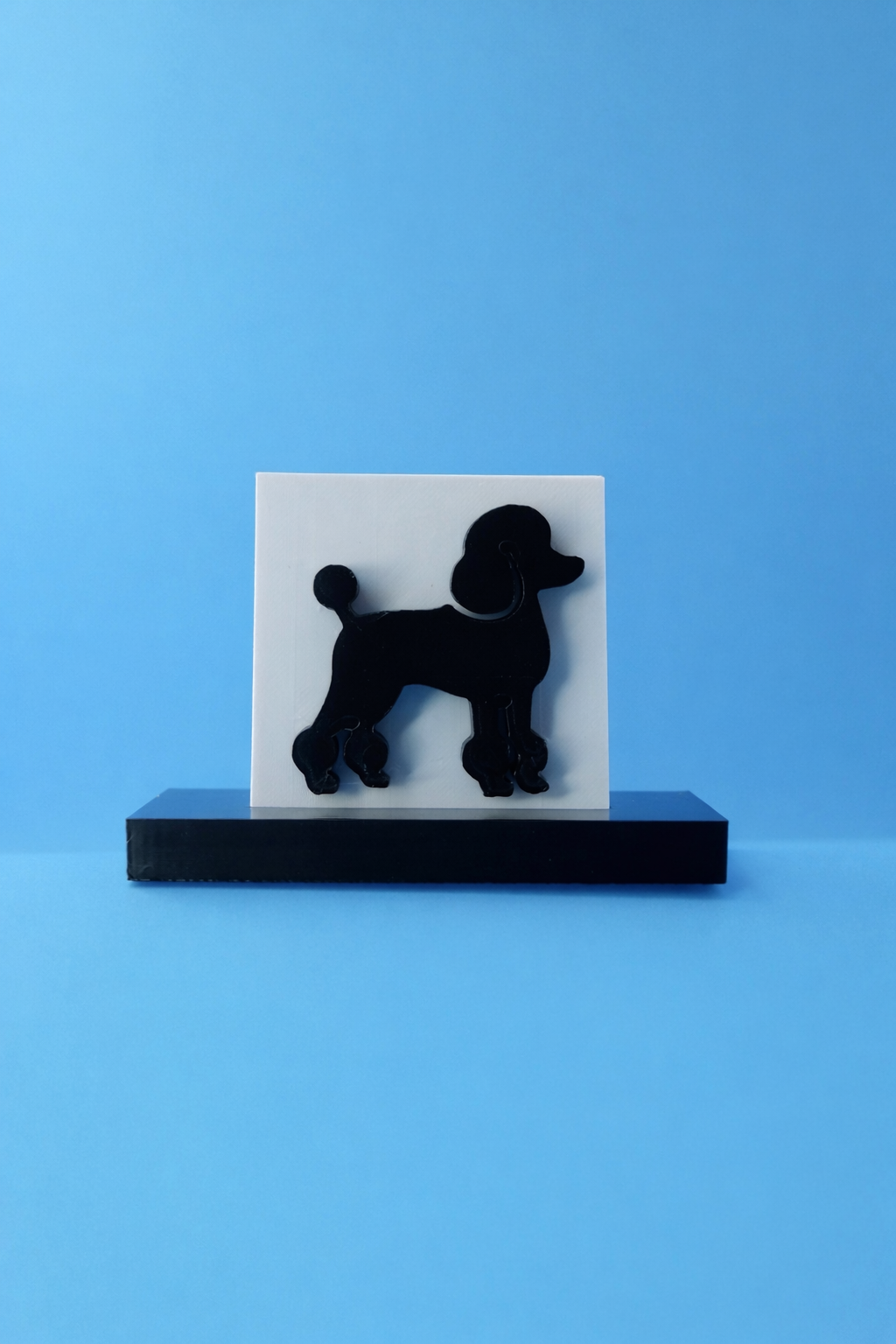 Poodle