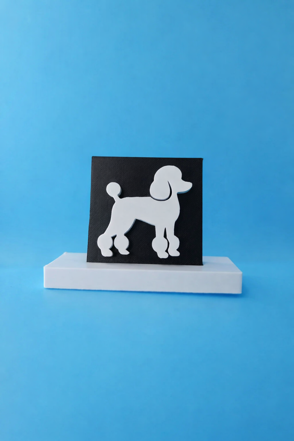 Poodle